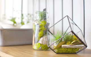 錦糸町おしりとおなかのクリニック